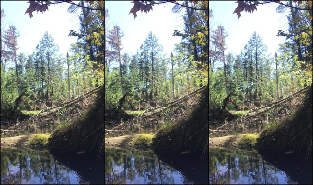 Skylarshark Outdoor Lagoon