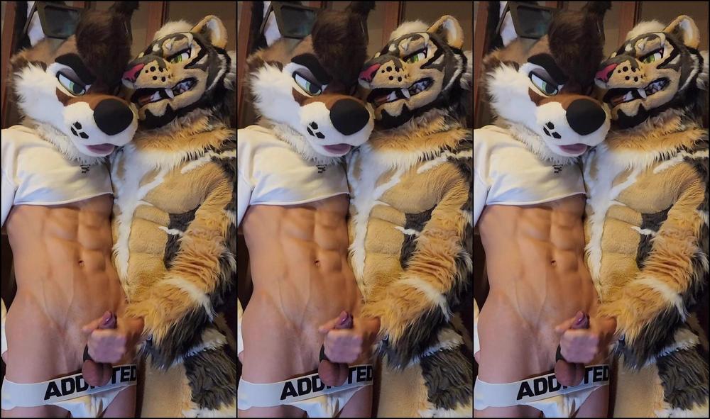 Palacewolf 1390146589 Sneak Peak Watch Me Tame This Tiger And Stuff My Bone Ins 01 0Hvskg7P635R02Kemynbj Source