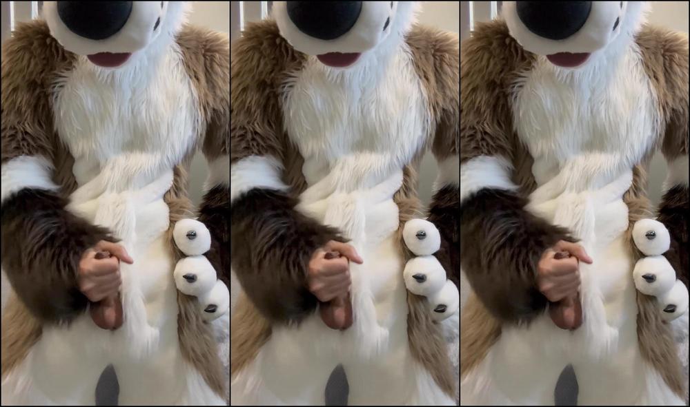 Palacewolf 755079391 Finally Got My Zippers Installed To My Fullsuit So What Bet 01 E2D91539 3B32 4280 A97F B54188700Bef