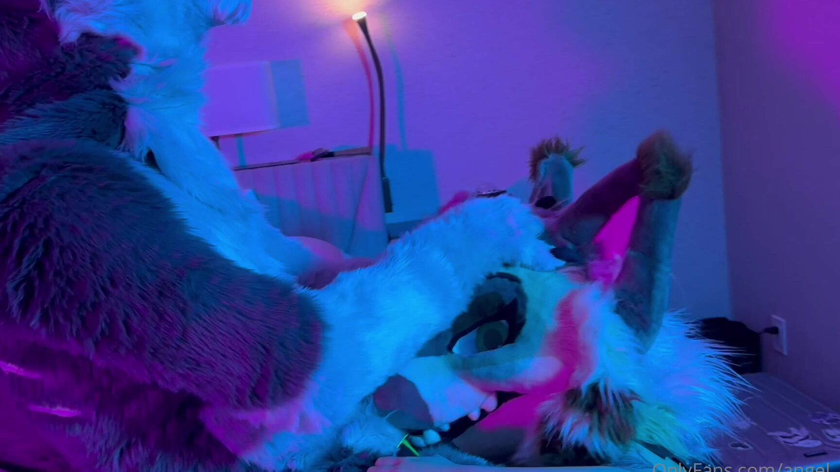 Angel Pups 851260652 Big Bad Wolf At It Again Looks Like He Found The Lovely Sma 01 0Hkv7Q3Dvu2I1W29H3Ydj Source