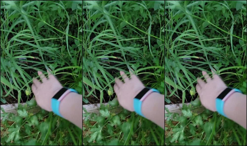 Lyrictiana Please Enjoy Feel Free To Ask Questions Tip To Support Future Plant Babies