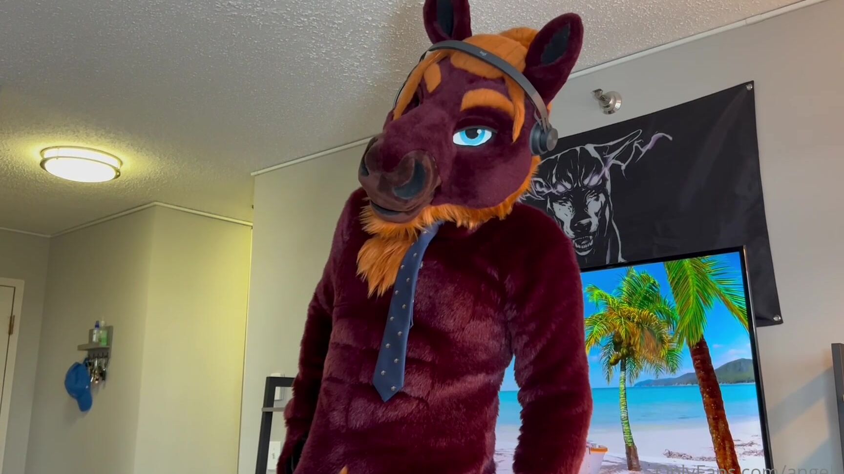 Angel Pups 1030837616 Celine S First Day On The Job Tahoe Gets The Hint Pretty Qu 01 0Howrt65Ox2M9Nu54E8Pp Source