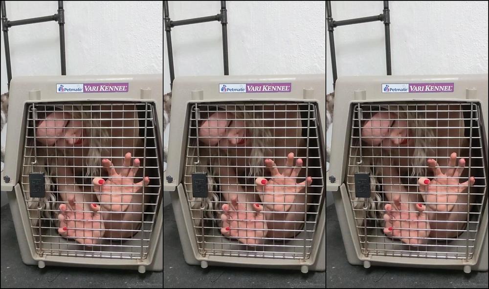 Raindegrey 147745284 02 11 2020 Kept As A Pet