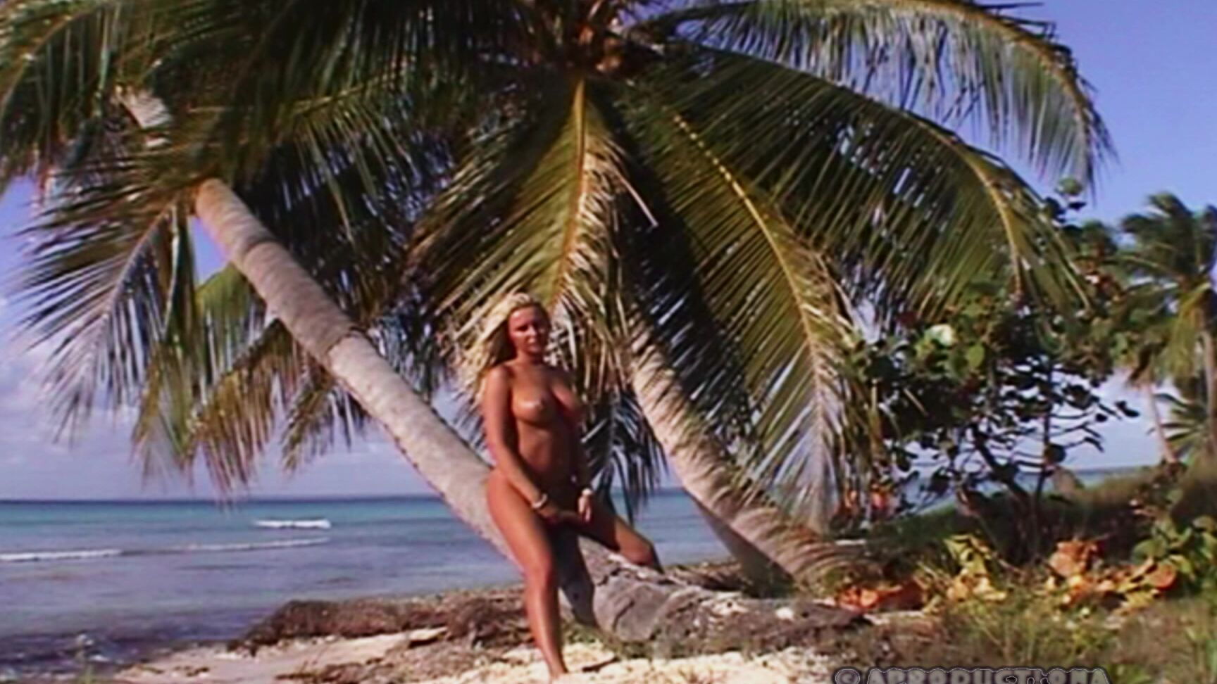 Bonieboy Dominican Republic Backstage No