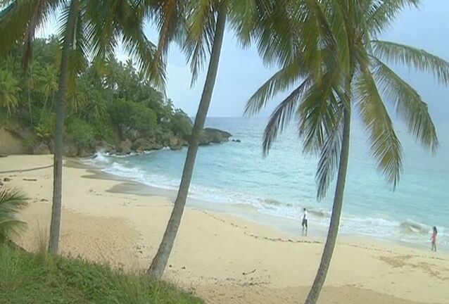 Anal, A2M, DP, Feature, European Private Sports 5 Surf Fuckers Private