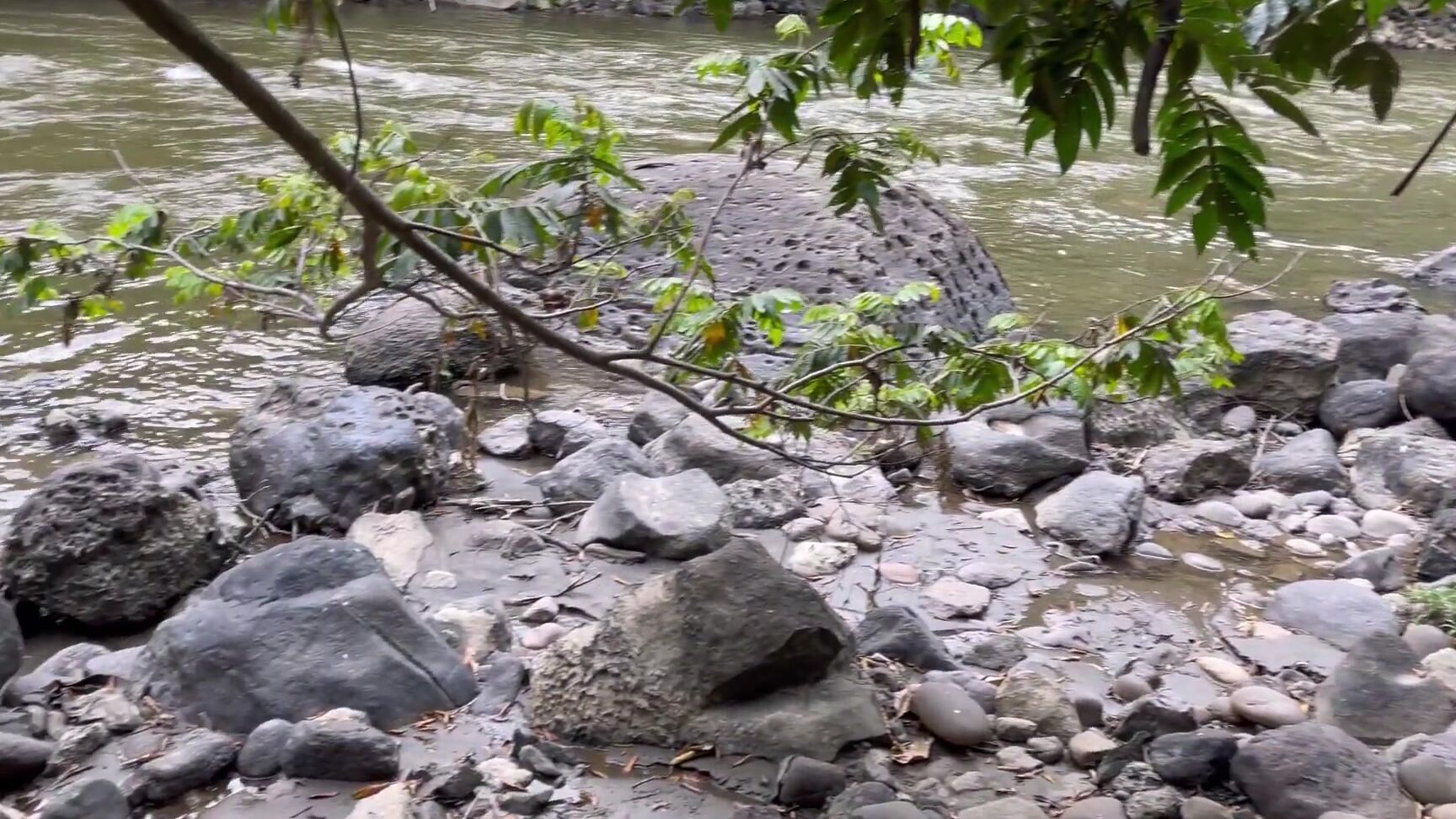 Blow Jobs, Cum Swallowers, Forest, Public Blowjob, Public Outdoor katty blake blowjob in the middle of the forest ManyVids