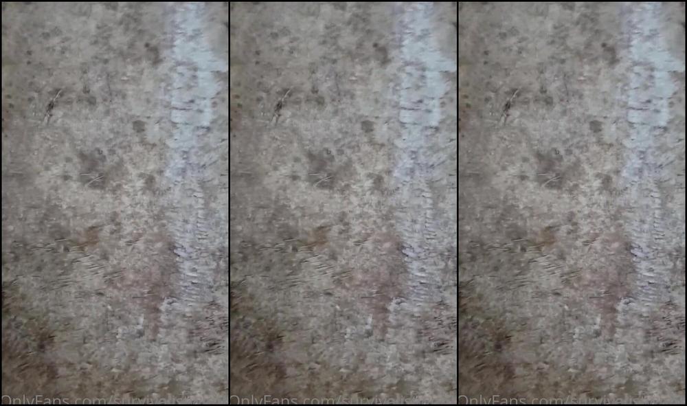 Mattieyukonofalaska More Hide Scraping Info