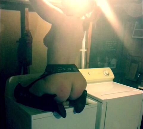 Skylarshark Tumbling Dryer