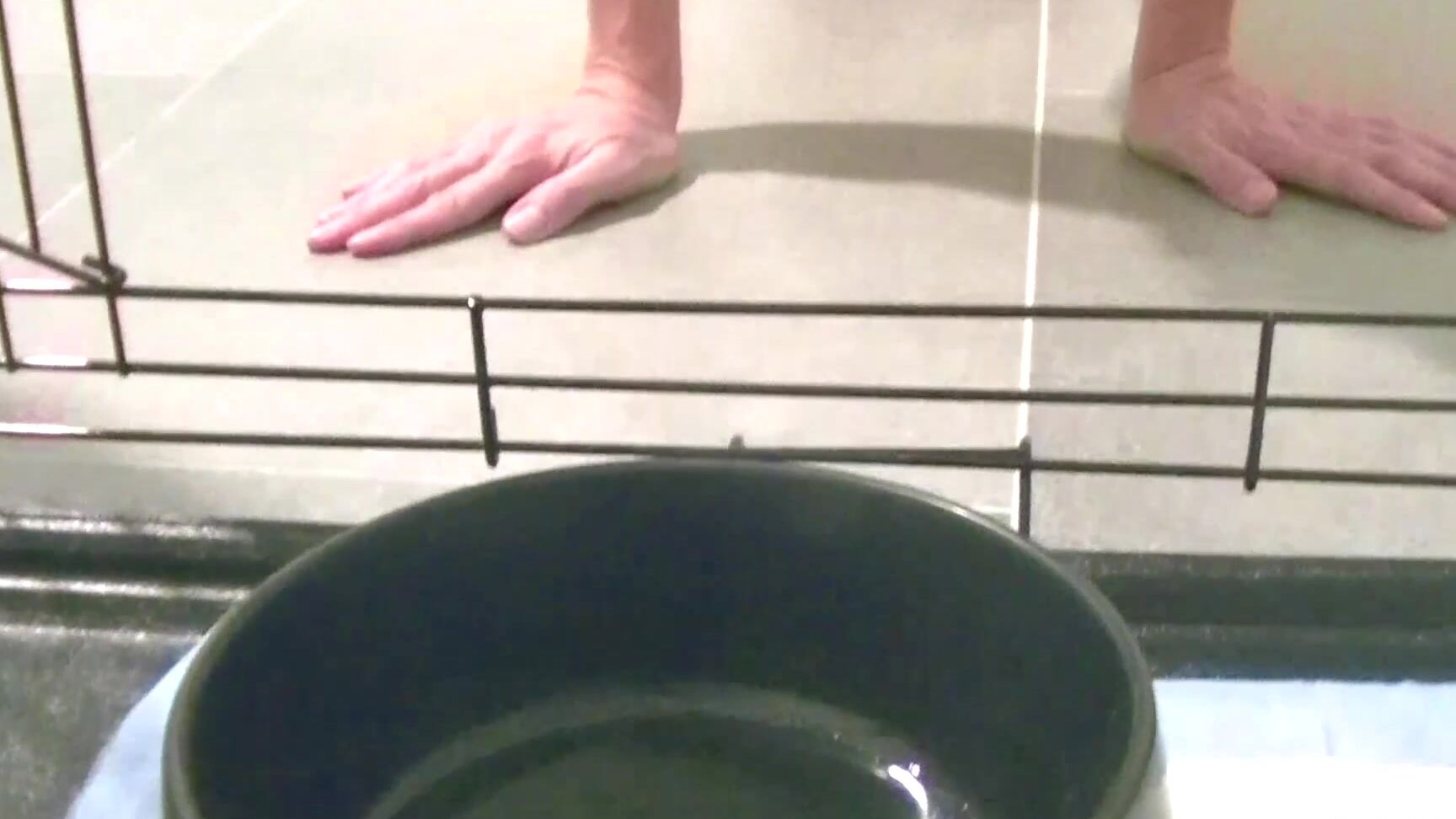 "Femdom Puppy Play" femdom, milf, pegging, puppy play, toilet humiliation Savannah Costello Collars Her Pup Part 2 manyvids