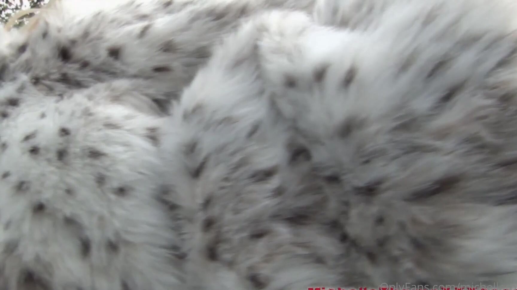 Michellethorne Fur Coat And Flashing Outside Fun In The Woods Fur Coat Ans Nothing But A Thong And Stocki