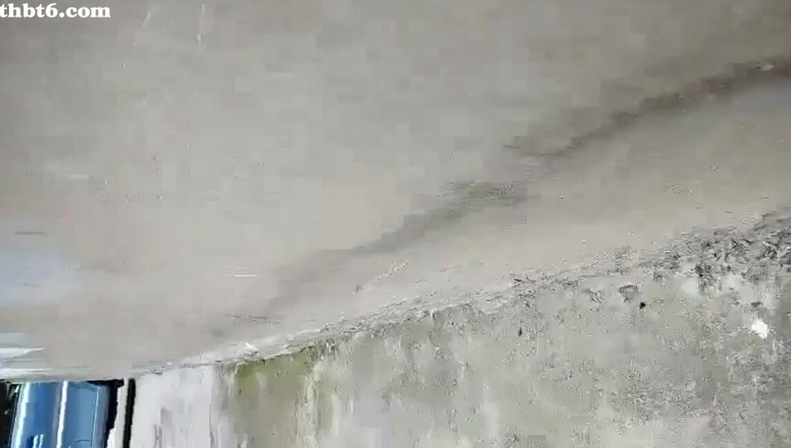 Asian Hidden Camera Couples Escorts 86732