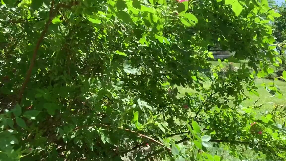 Dmostest Nicknamed Doingthemostest Onlyfans Some Creep Spying