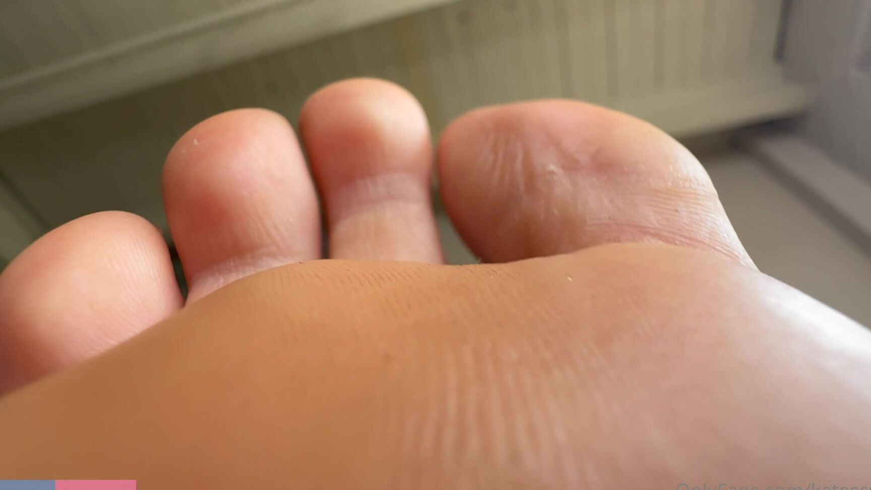 Katescutiies My Step Brother Shrunk Himself So While Our Parents