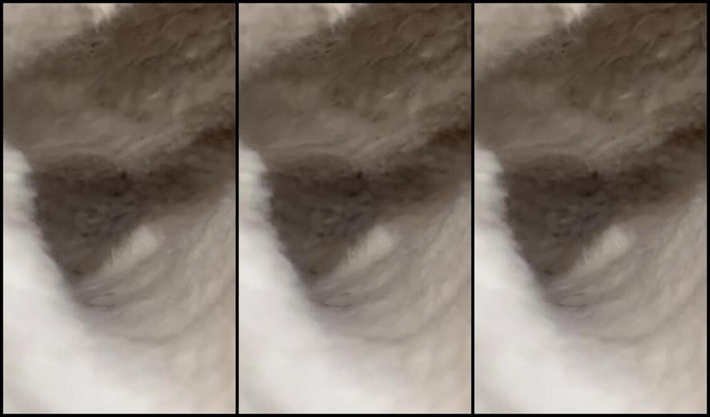 Erisfeet Onlyfans So Stinky