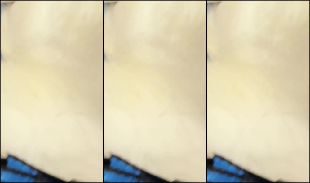 Spiceyfoxx 0Huba39695Epfw8B54997 Source