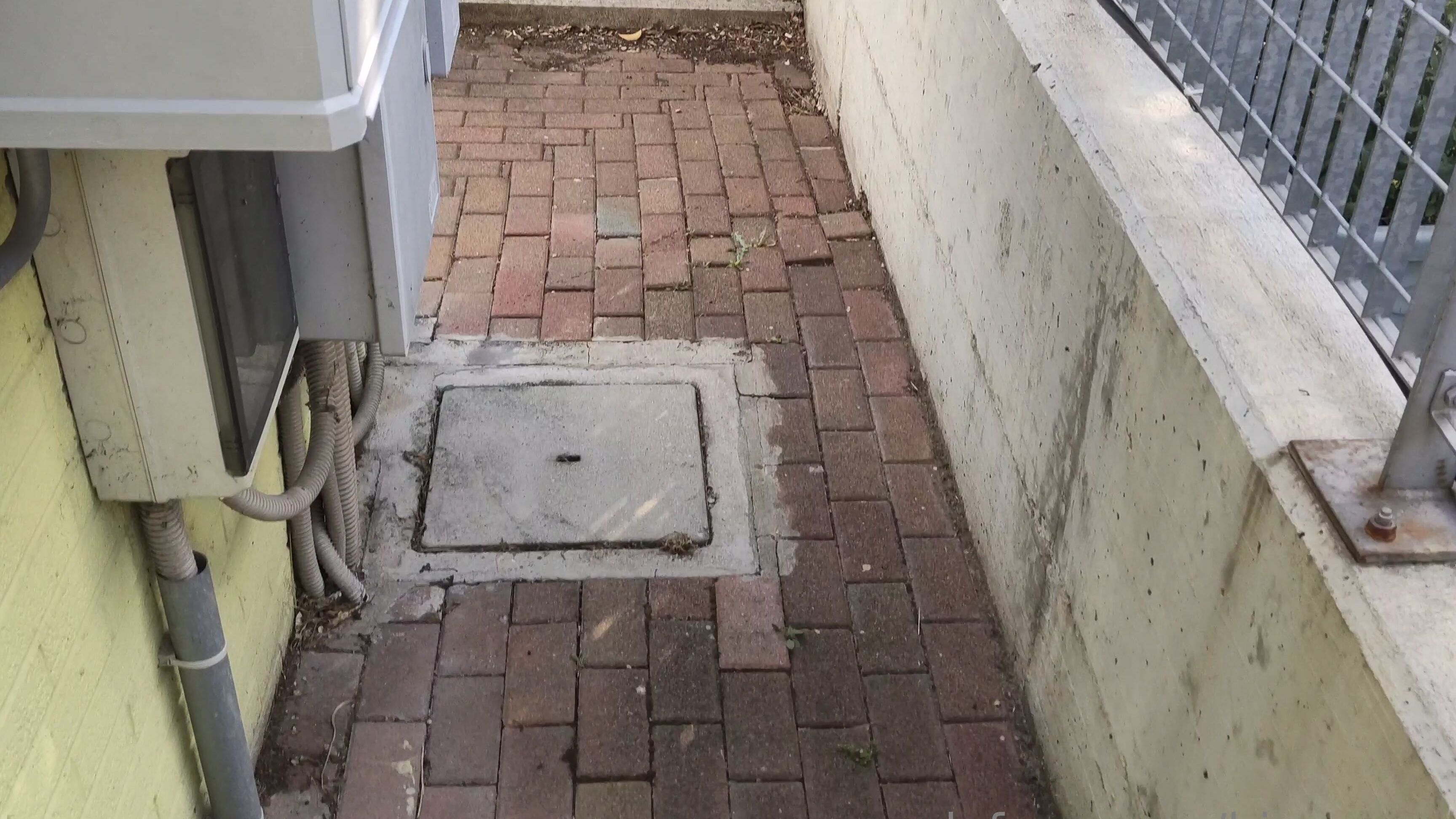 Bianca Santi Quick Public Blow Job