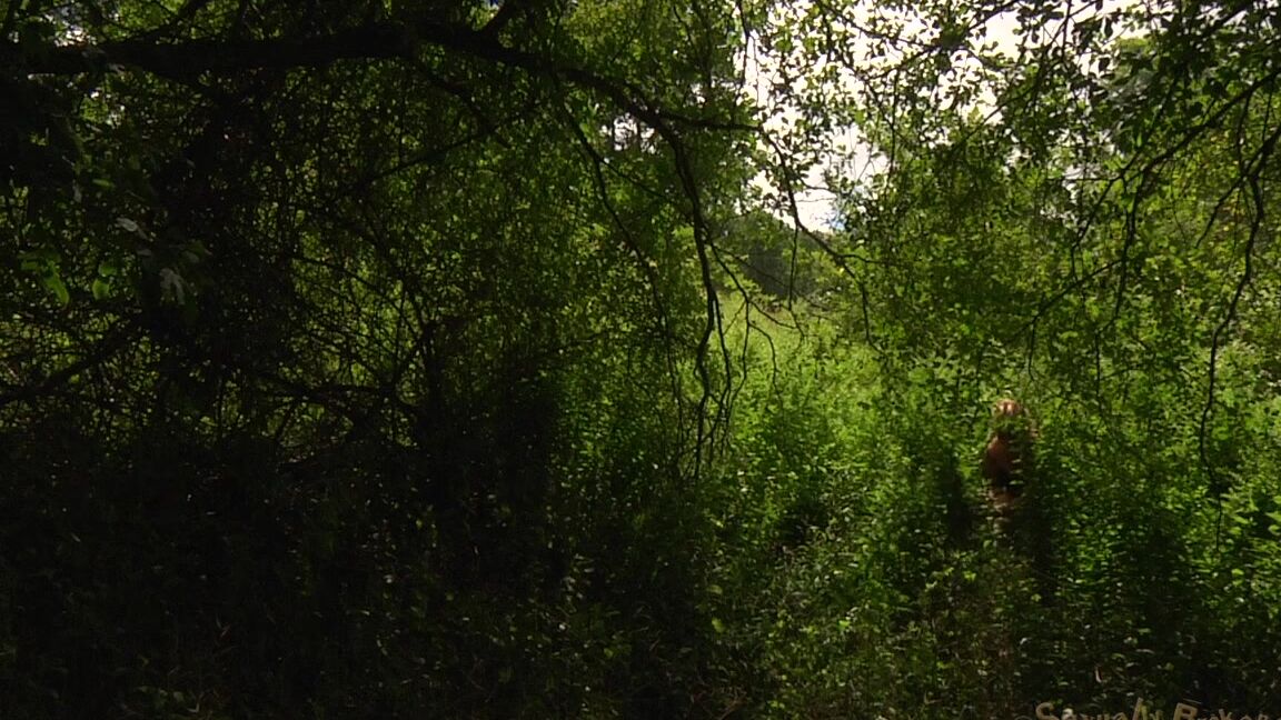 Hardcore, Domination, BDSM, Bondage The Unit Real life fantasies from your favorite porn stars A feature BaRS Presentation SiteRip