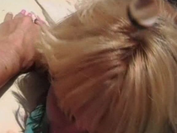 Seymore And Shane Playing With Fire Crystal Gold And Vince Vouyer