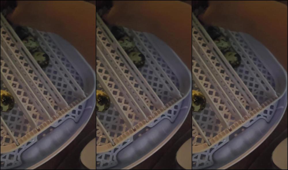 Your Submissive Doll 3264037033 04 04 2024 I Try Not To Share Too Many Things That Aren T What You Might Expect To See