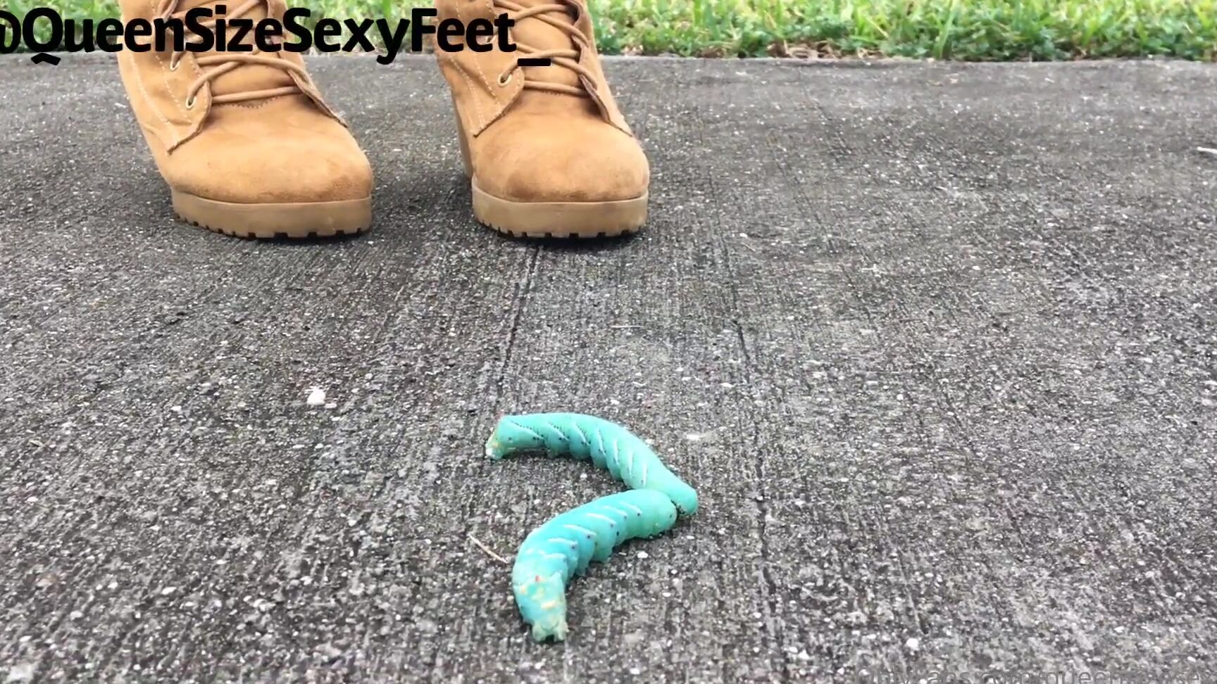 Queensizesexyfeet This One Was Requested Superworm