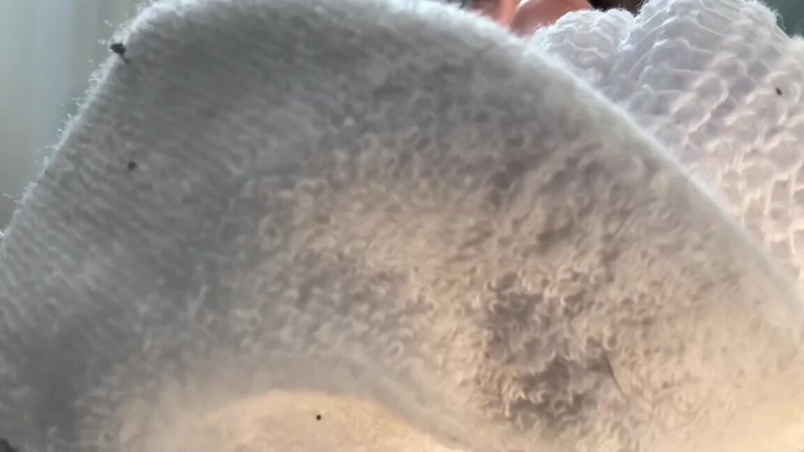 Dakotafade 12 04 2024 Onlyfans Video Sink Into The Scent Joi With Camicutesoleshow Could You Ever Resist Stinky Slouch Socks And 6B