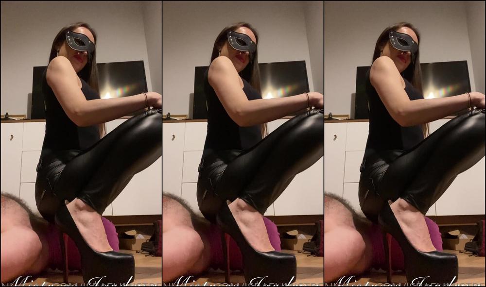 Israelimistress Face Riding For Stupid Bitch My Stupid Bitch Was