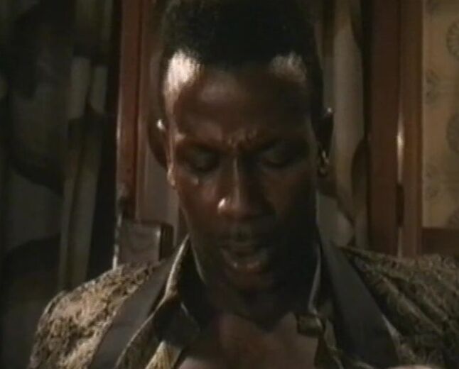 "Eva Orlowsky, Isabelle Neyle as Sindy or Cindy, Joy Karin's, Miss Pomodoro, Natalie Streb, Rocco Siffredi as Tano Rocco, Ray Victory, John Dough, Ron Jeremy, Joey Murphy" Classic, Feature Le Malizie della Marchesa Star 90 Production