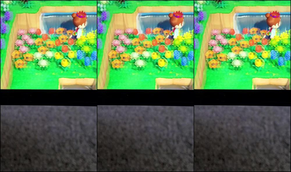 Kelsi Baby My Acnh Island