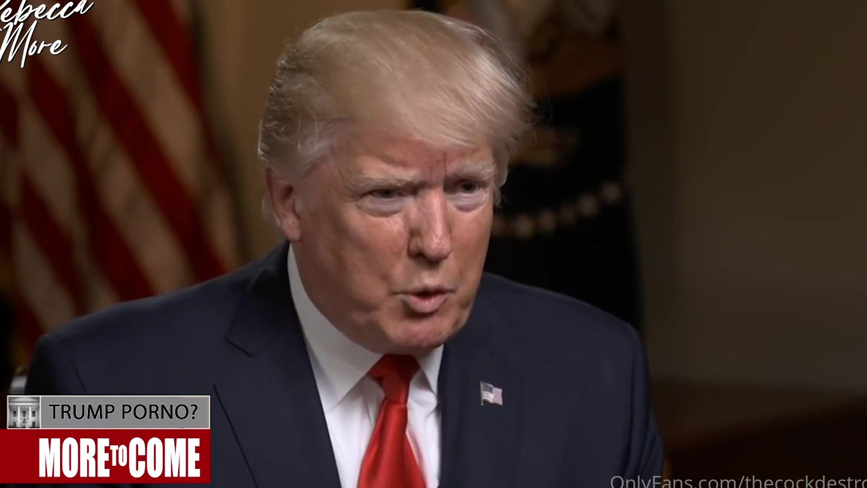 Moredomination That Time Rebecca Interviewed Donald Trump About The Porn Movie He S Producing