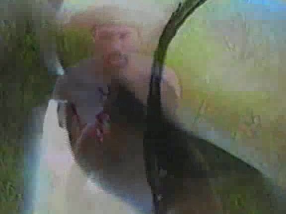 "Mix" Latin, All Sex Jeca Erótico no Reino da Bicharada J & C