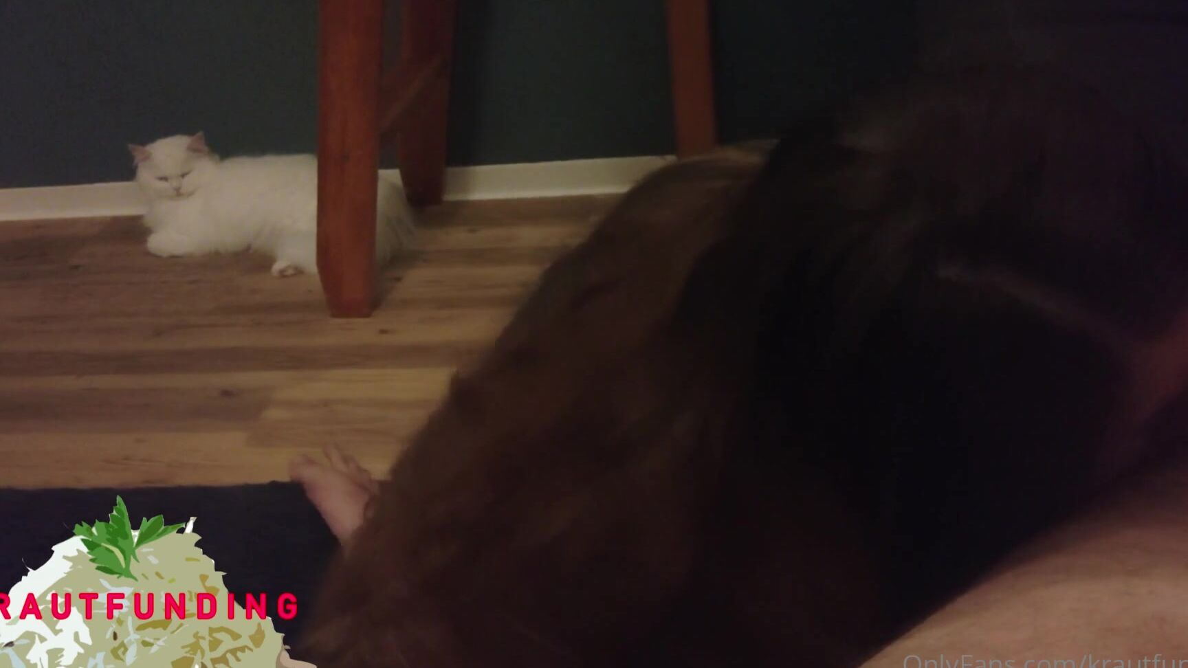 Krautfunding Have You Ever Seen A Better Blowjob O