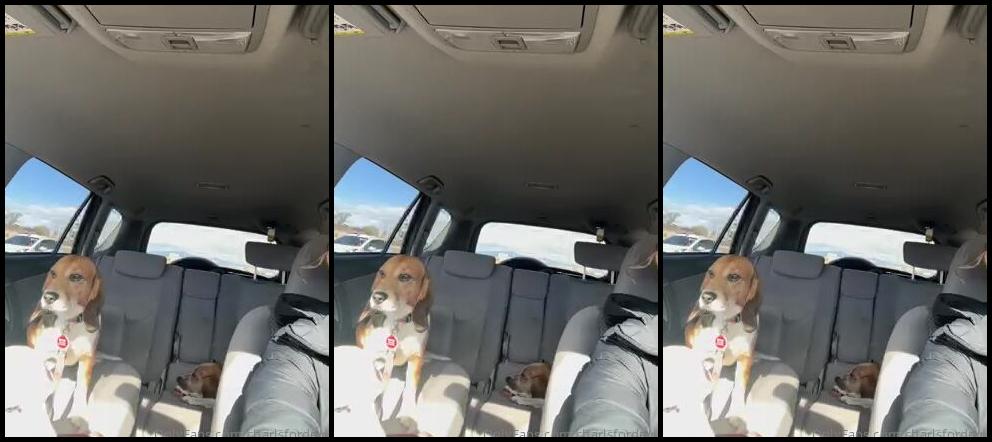 Charlsfordevip 3568183145 11 16 2024 Update