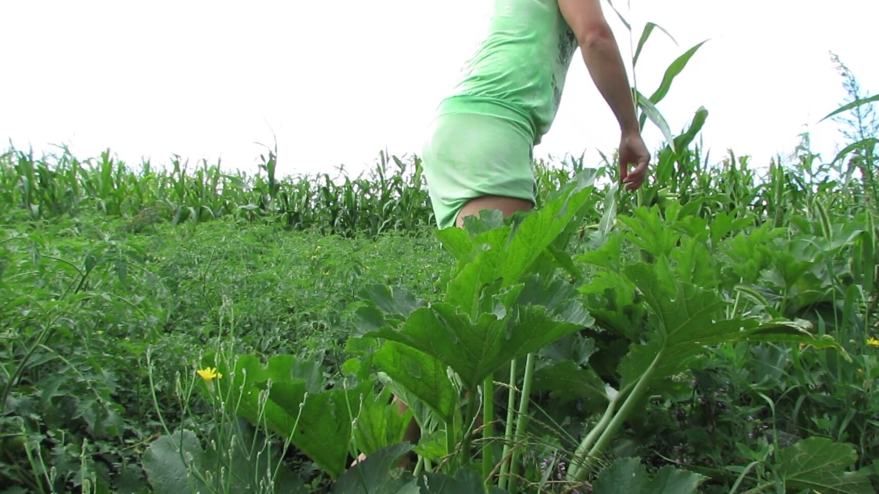 SexyAnka 13.Good pissing in nature on a zucchini bush Pornhub