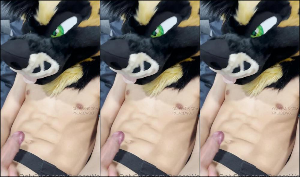 Palacewolf 512642076 Could Ve Used A Helping Paw Here Or Even Better A Helping 01 52Cd4Ceb B040 4A86 A440 F4D420350A4A