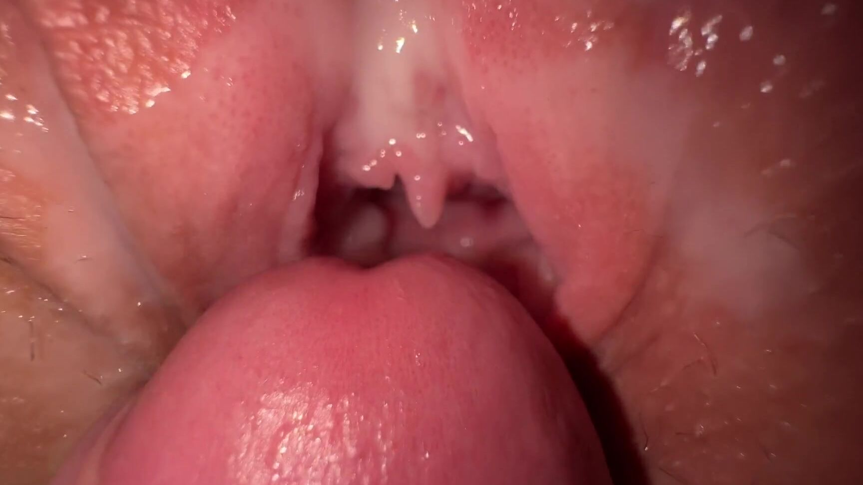 Cute Pussy Fuck stepsister's tight creamy pussy Pornhub