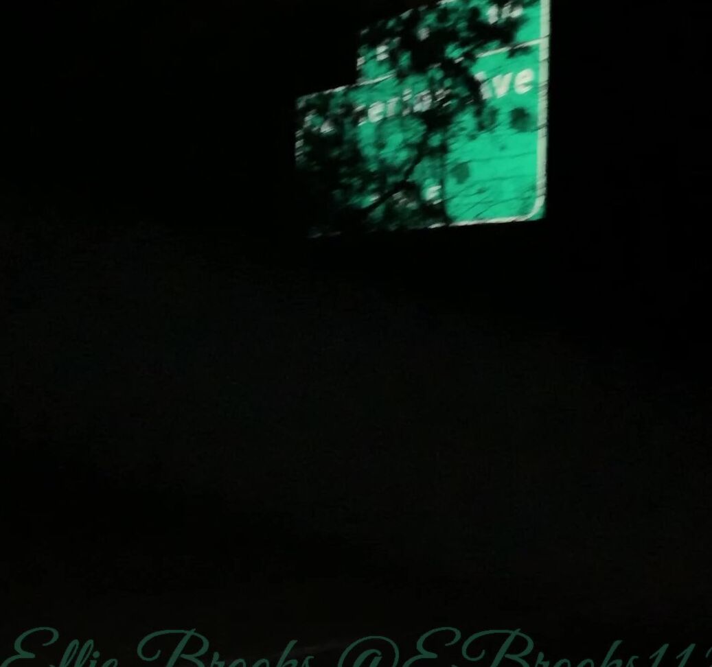 Mrselliebrooks Continuation From The Other Videos Finally Got To Our Favorite Roadside Spot To Fuck In P