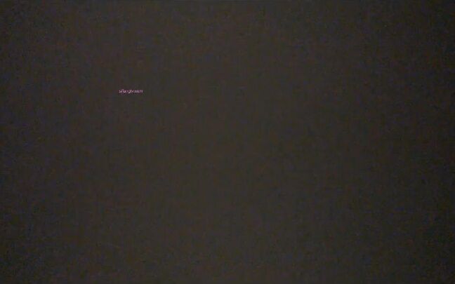 Asian Domestic Zone Self Filmed 08528