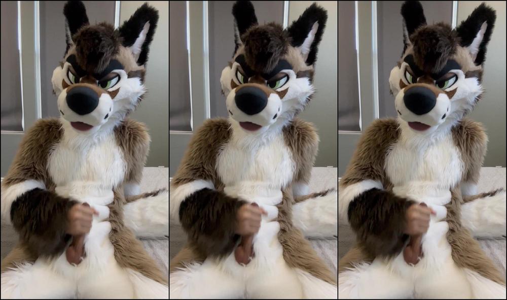 Palacewolf 755076699 Finally Got My Zippers Installed To My Fullsuit So What Bet 01 7F2D9Ebd A100 4629 Aad3 616850759C11