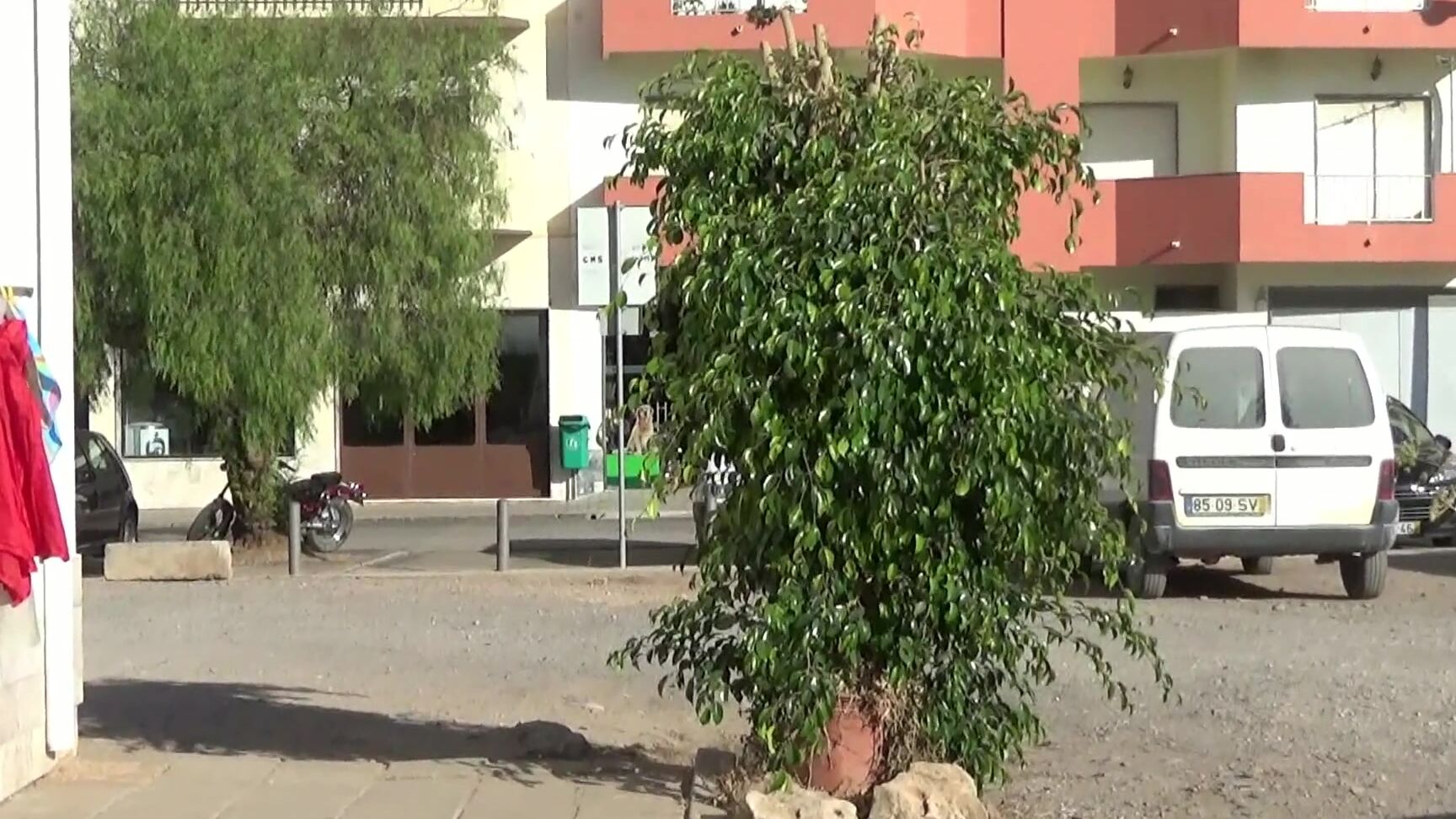 flashing-and-masturbation-in-a-public-cafe Pornhub