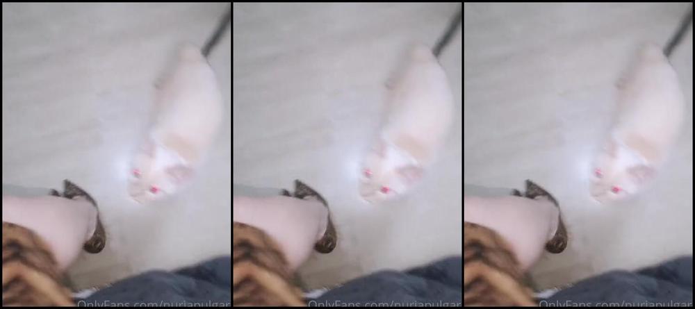 Feetvampire Nicknamed Feetvampire Onlyfans Dangling9