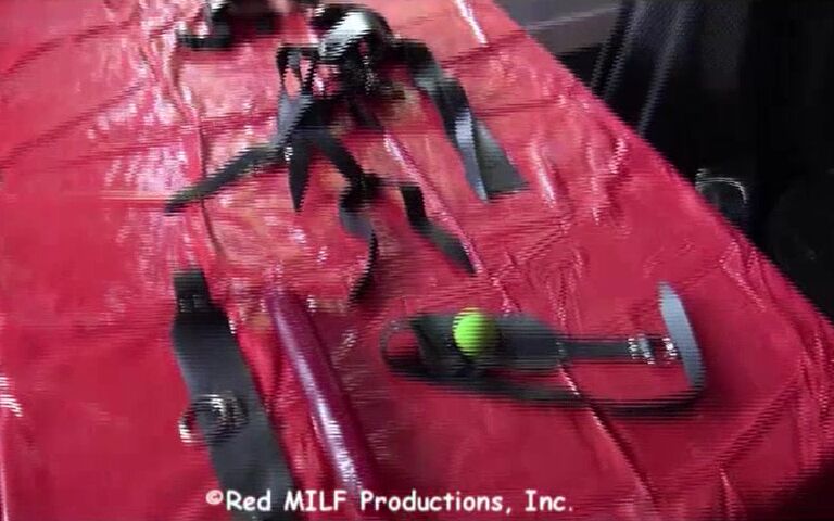 Rachel Steele Did859