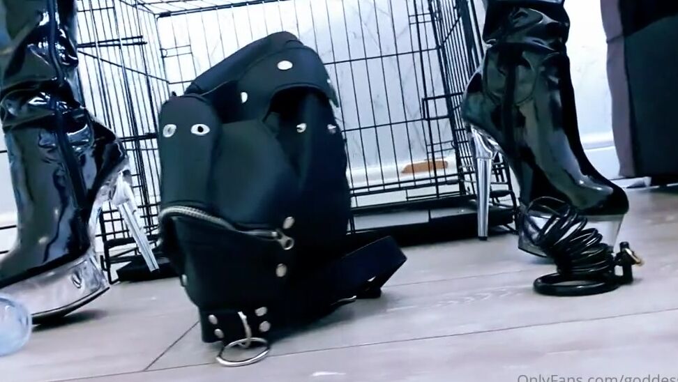 Miss Evie Lock Nicknamed Missevielock Onlyfans This Is Your New Home Now Dog You Will Live In This Cage And