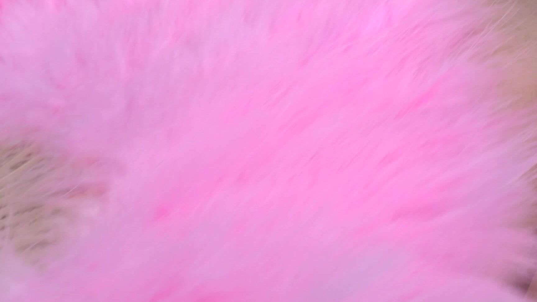 Solo Tina - Charms SiteRip