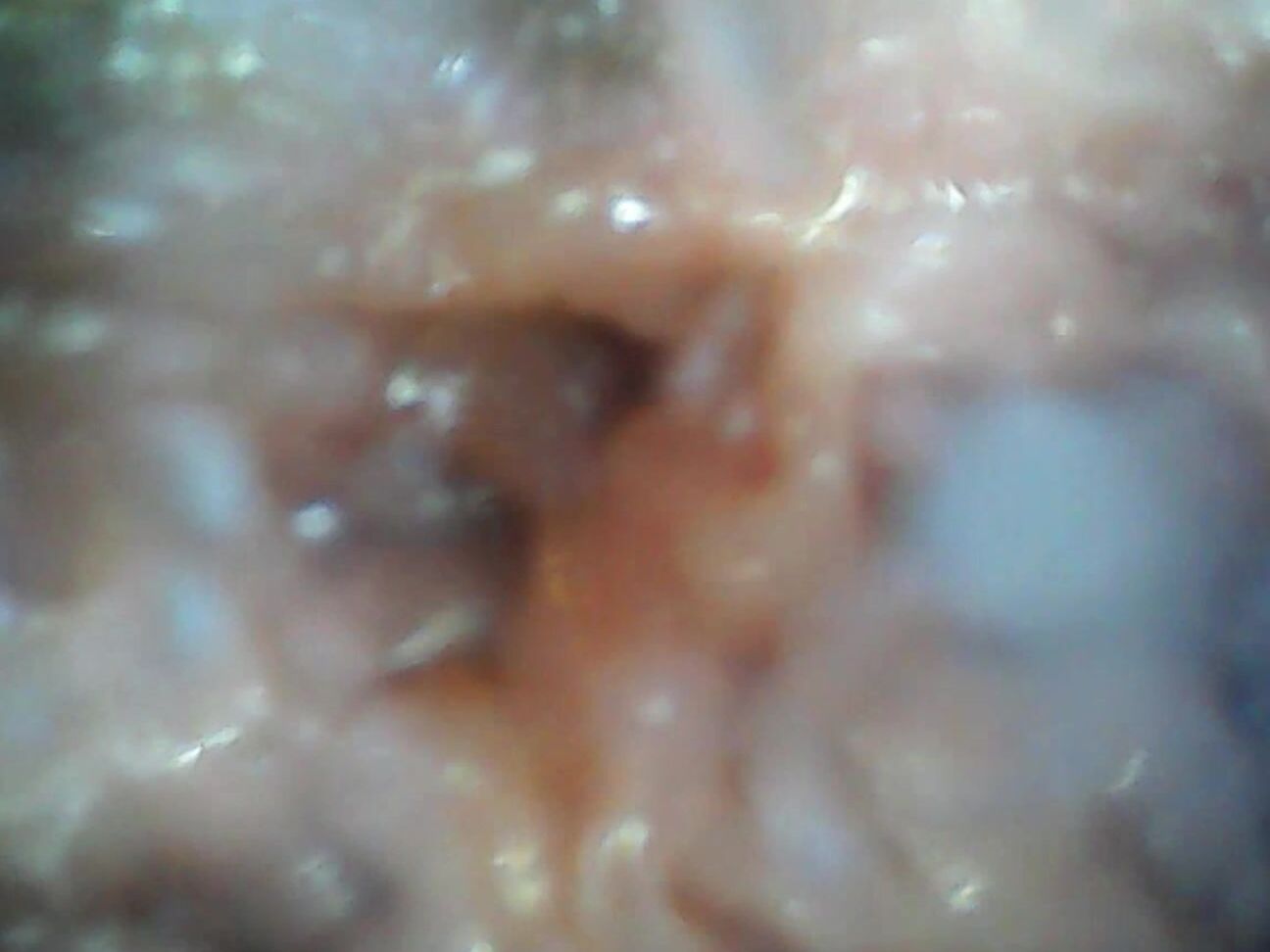 Cutielanalova The Insides Of My Pussy