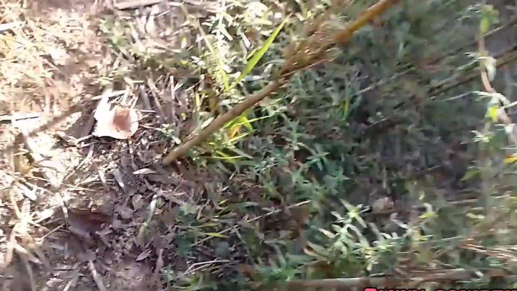 I Took My Little Slutty Girlfriend Outdoors In The Woods