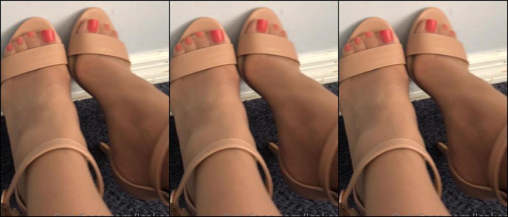 Jcakess A Little Something For The Nylon Lovers