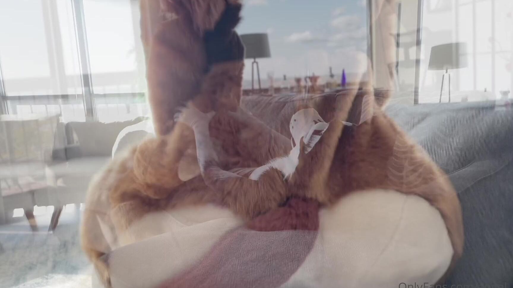 Angel Pups 1318142570 Been A While Since Jessie Graced Us With That Big Booty Of H 01 0Hui2Feey5S0Ueqhcuai3 Source