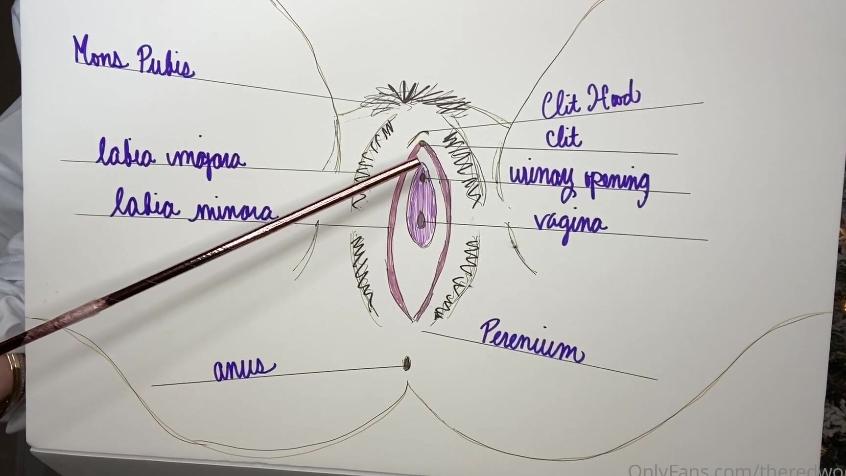 Mrsredwood Masterclass Squirting Min Welcome To Heidi S Masterclass This Could