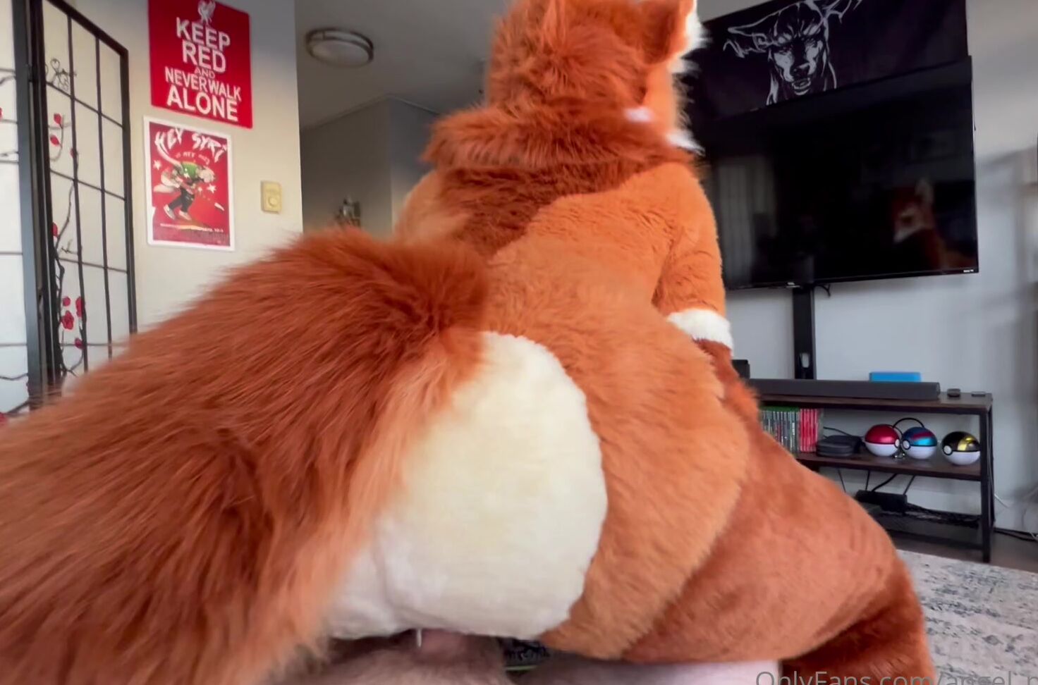 Angel Pups 992991966 Nothing Beats A Good Fox Booty Bouncing On Your Lap 01 0Ho3Ym41Isojmo9Ih63He Source