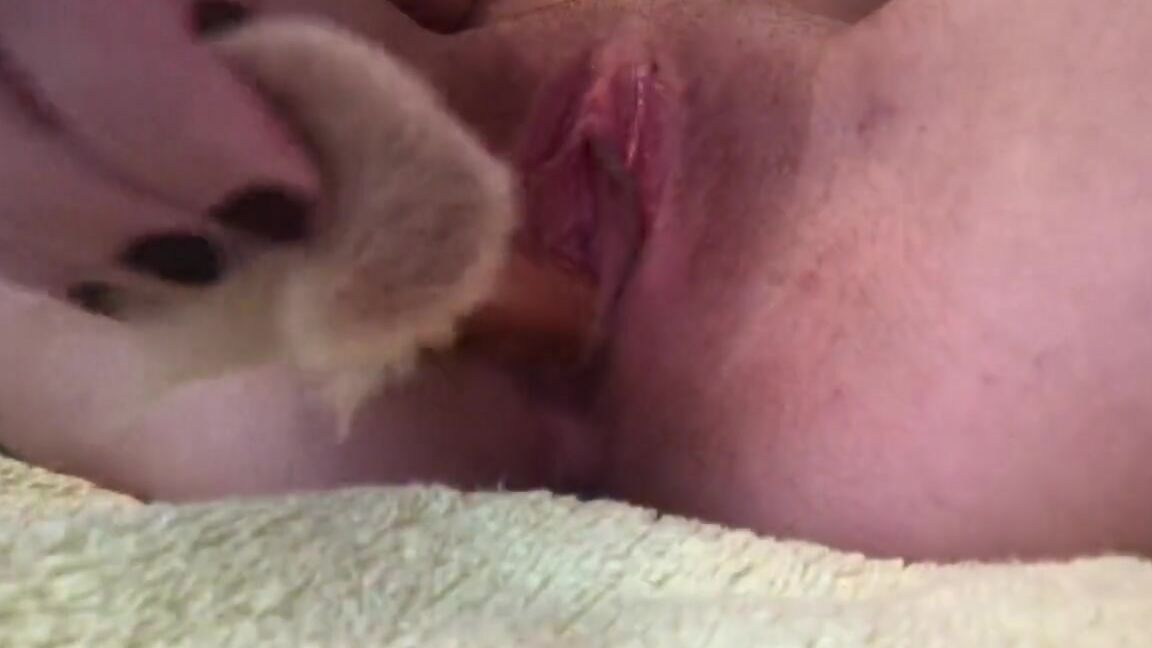 Kitten4use Squirting for the first time Pornhub